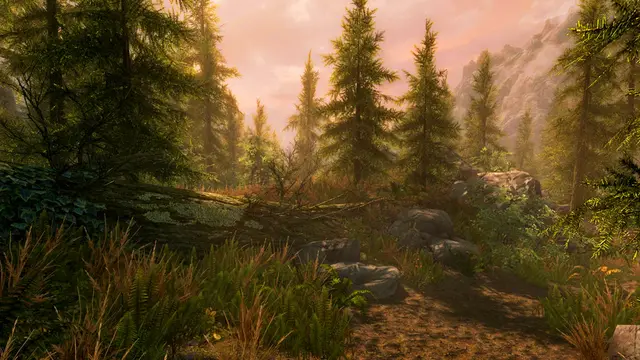 The Elder Scrolls V: Skyrim Special Edition - imagem 5