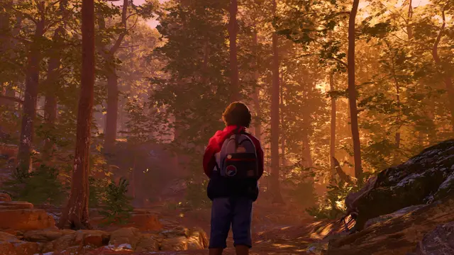 As Dusk Falls - imagem 8