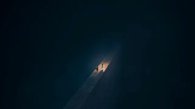 Reanimal - imagem 24
