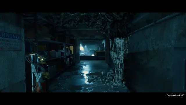 Death Stranding - imagem 23