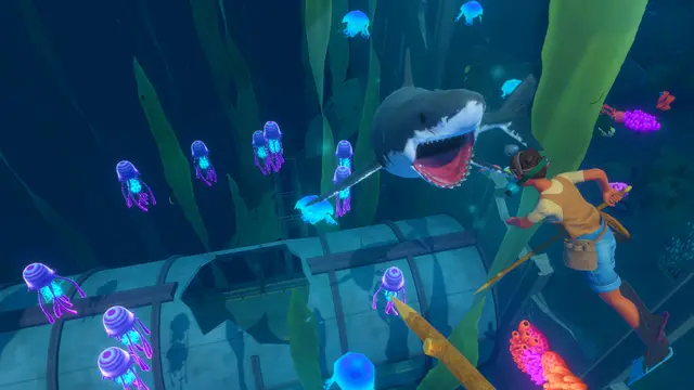 Raft - imagem 2