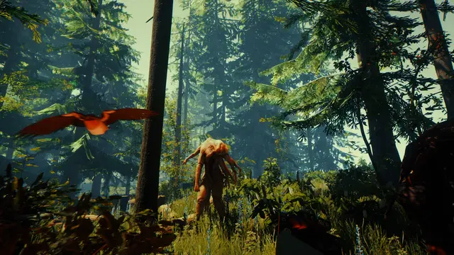 The Forest - imagem 6