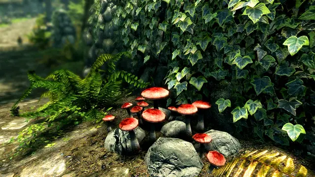 The Elder Scrolls V: Skyrim Special Edition - imagem 9