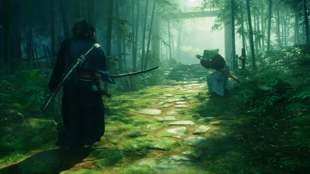 A Ascensão do Ronin - imagem 3