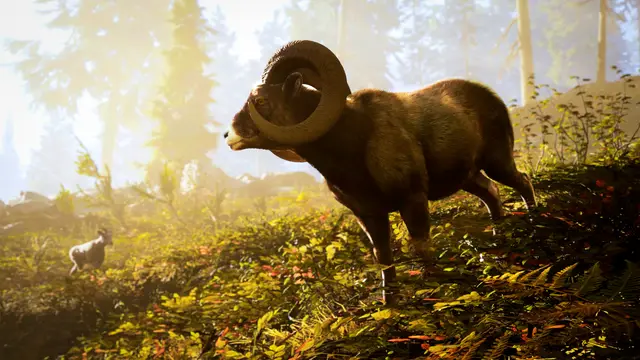 Hunting Simulator 3 - imagem 4
