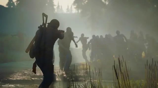 Days Gone - imagem 2