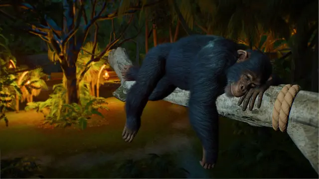 Planet Zoo 2 (Series S | X) - imagem 8