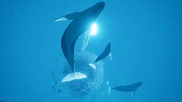 ABZU - imagem 5